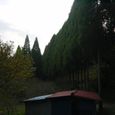 Dsc02502